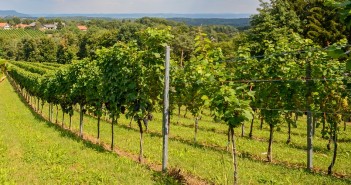 giovani-agricoltori-lazio-2016