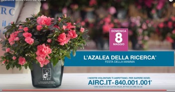 airc-azalee-ricerca-2016