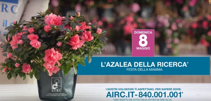 airc-azalee-ricerca-2016