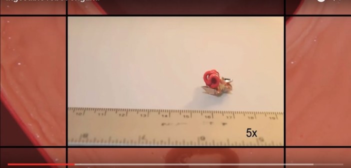 video-mit-robot-origami