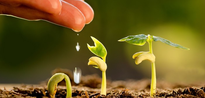 green-jobs-lavoro-ambiente