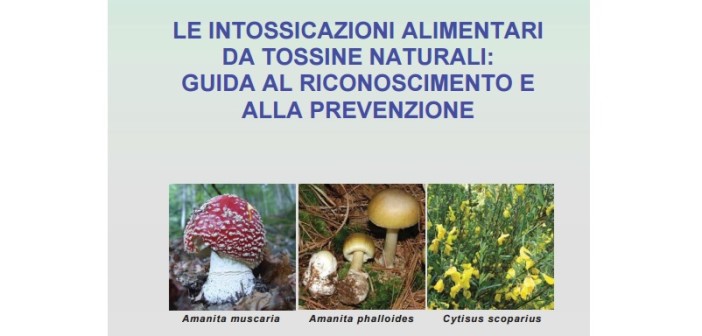 guida-ministero-salute-intossicazioni-alimentari