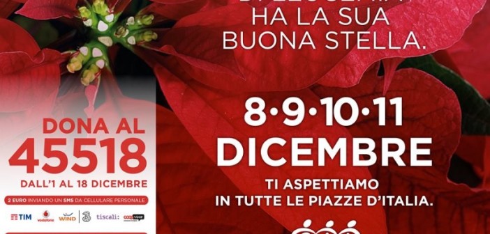 stelle-natale-ail-2016