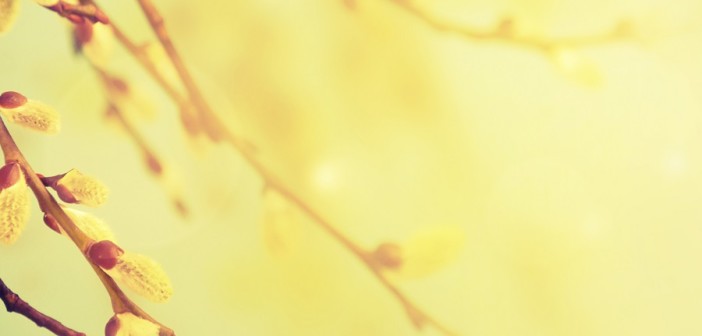 allergie-cefalee-bambino-gesu