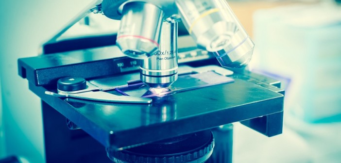 immuno-oncologia-polmone-vescica