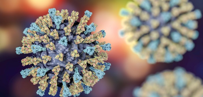 ministero-salute-nota-virus-morbillo