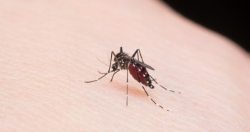 caso-malaria-nota-iss