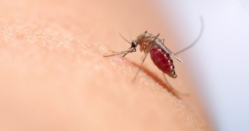 morte-bambina-malaria-brescia