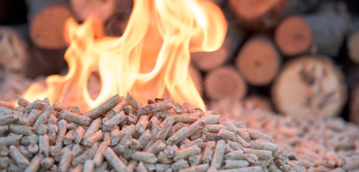 bando-caldaie-biomassa-lazio