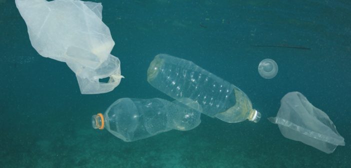 piano-lazio-plastic-free