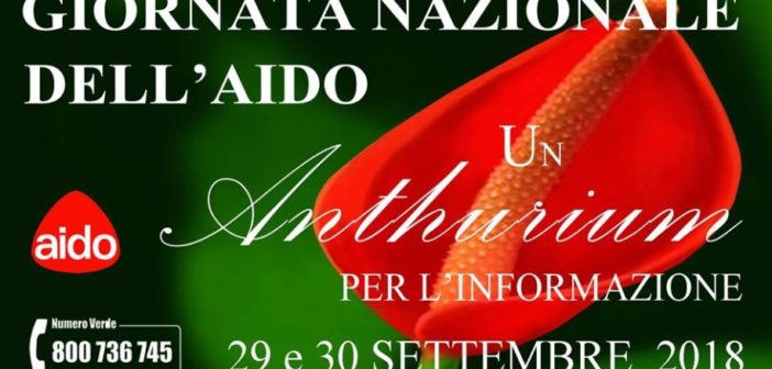 locandinda-xvii-giornata-nazionale-aido