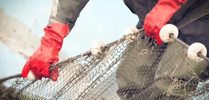 bandi-pesca-regione-lazio-2019