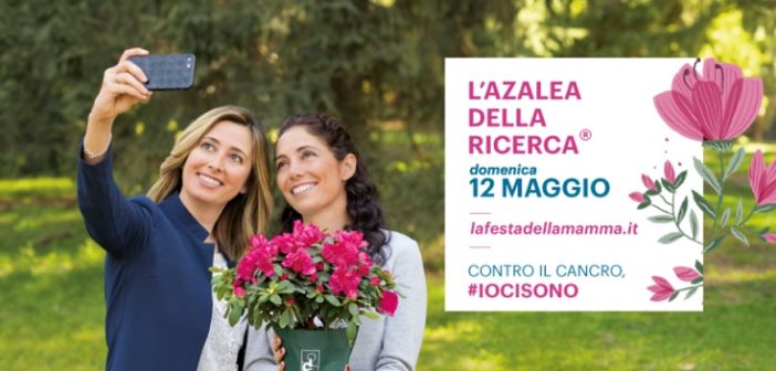 piazze-azalea-ricerca-2019