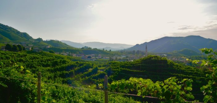 colline-prosecco-patrimonio-unesco