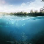bando-tutela-biodiversita-acque-interne-lazio-2019