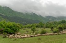 transumanza-patrimonio-unesco-2019