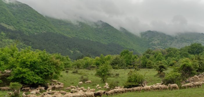 transumanza-patrimonio-unesco-2019