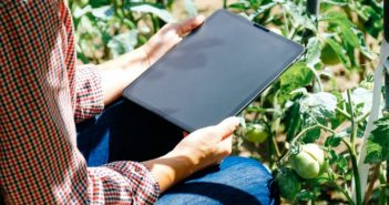 consulenza-aziende-agricole-lazio